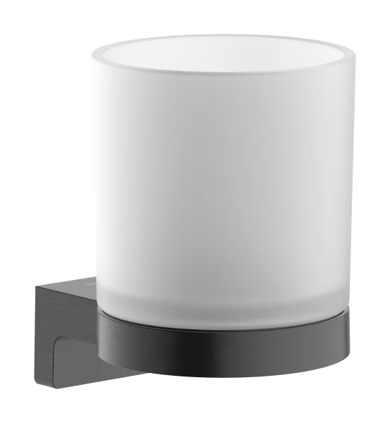 Hansgrohe Addstoris S Toothbrush Tumbler