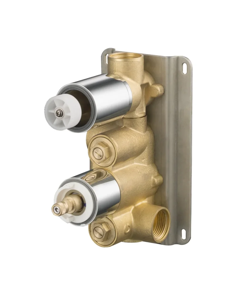Saneux Thermostatic Valve Body With 1 Outlet & 2 Holes - Brass product image - Image 1