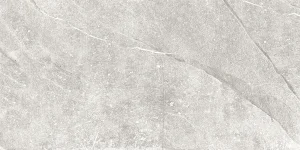 European Tiles Slate Stone SNOW 30 X 60 Rectified Matte Tile