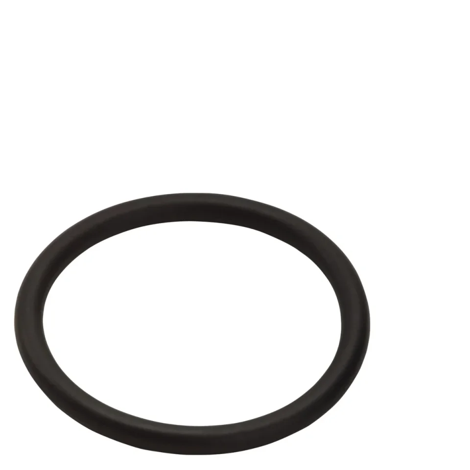Hansgrohe O-rings 100 X 90 X 5mm product image - Image 1