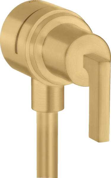 Axor Citterio Shut-off Valves 217 X 78 X 75mm Gold - Brushed