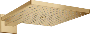 Hansgrohe Raindance E Overhead Showers 485 X 462 X 113mm Bronze - Brushed
