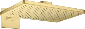 Axor Showersolutions Overhead Showers 590 X 390 X 215mm Brass - Brushed