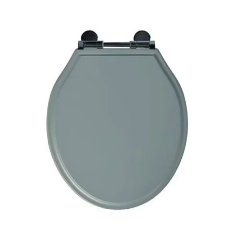 Roper Rhodes Hampton Painted Soft Close Toilet Seat - Agave product image - Image 1