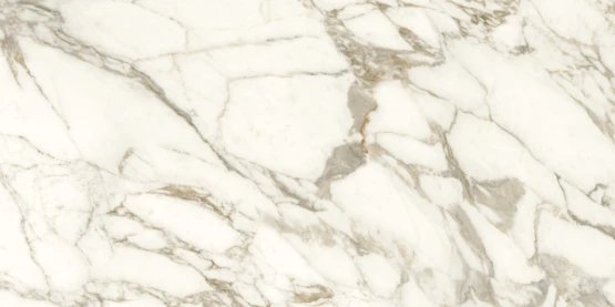 European Tiles Anima Ever Luxury Arabesque Polished Tile 60x120cm