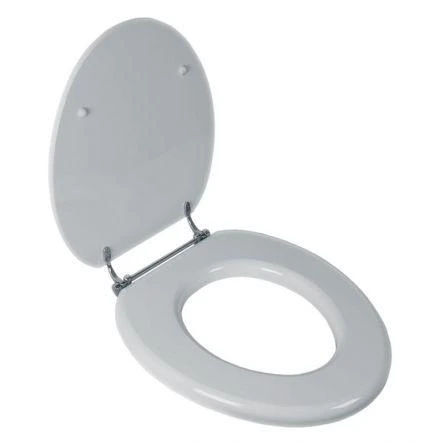 Lefroy Brooks Classic Gloss White Seat With Chrome Hinges