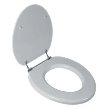 Lefroy Brooks Classic Gloss White Seat With Chrome Hinges product image - Image 1