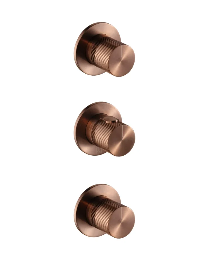 EVO Modular Thermostatic concealed 2 outlet shower valve product image - Image 1
