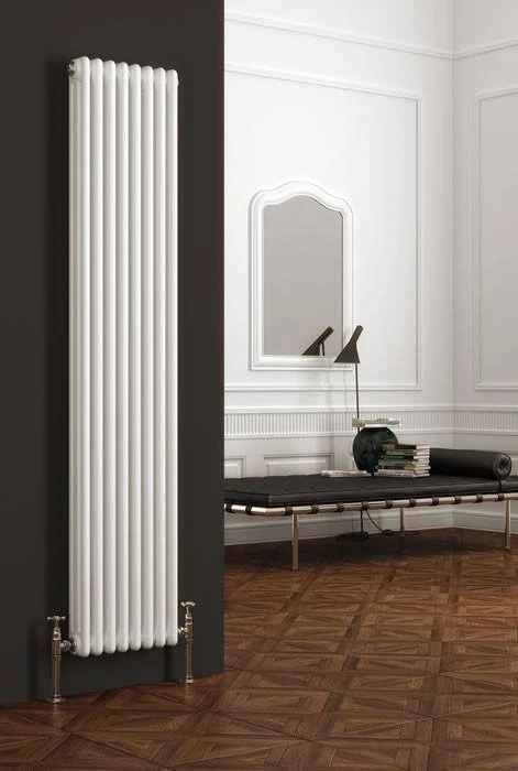 Reina Colona 1800 X 290 6 Section 2 Column Radiator