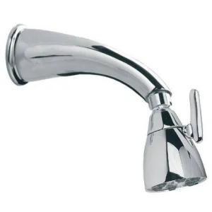 Lefroy Brooks Classic Shower Arm & Brunswick 6 Jet Showerhead - Chrome
