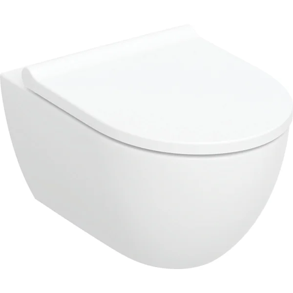 Geberit Acanto Wall Hung Pan And Soft Close Seat (rimfree)