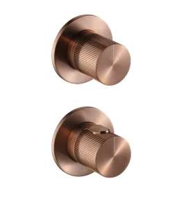 JTP EVO Modular Thermostatic concealed 2 outlet shower valve Brushed Bronze
