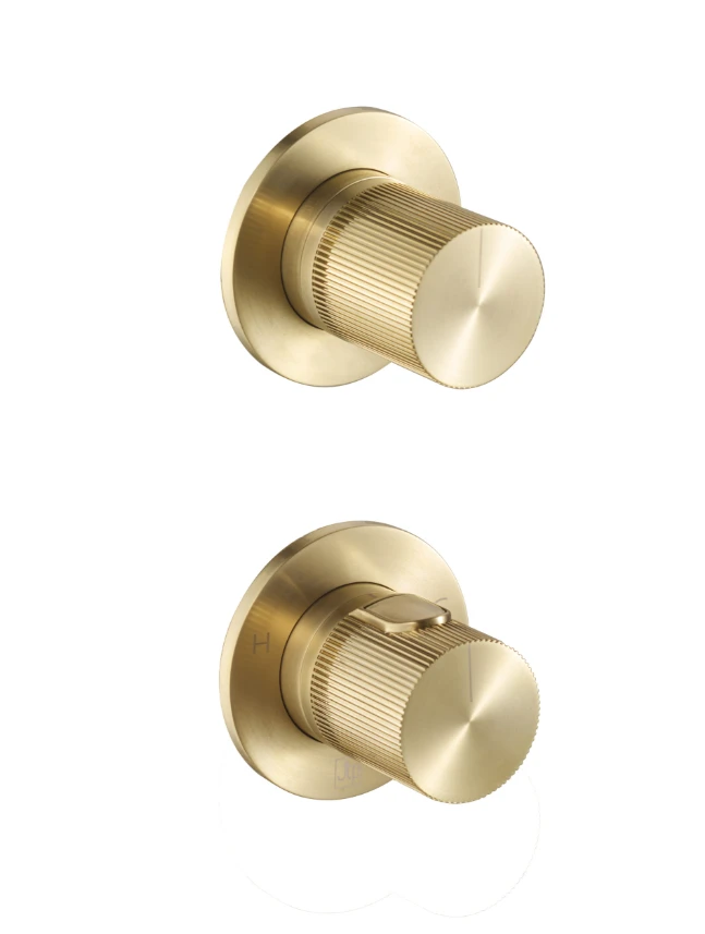 JTP EVO Modular Thermostatic concealed 2 outlet shower valve - Brushed Brass