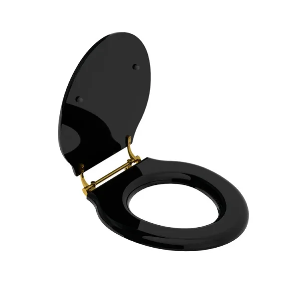 Lefroy Brooks Classic Black Seat With Polished Brass Hinges product image - Image 1