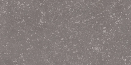 European Tiles Mountain Cinder Gray 300X600Mm Matt Porcelain Rectified Tile - SALE detail view - Image 9