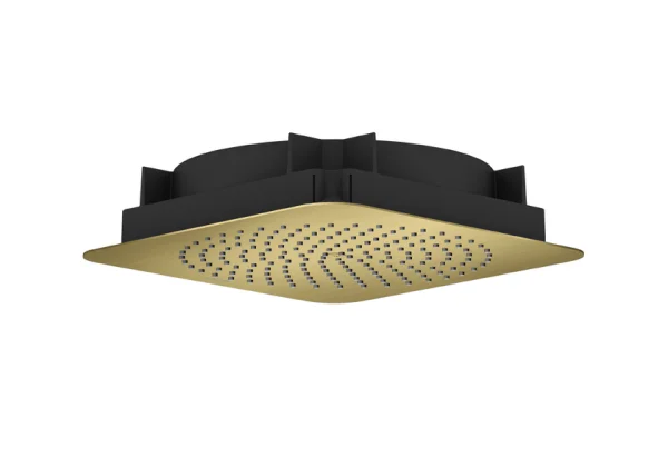 Axor Citterio C Overhead Shower 270/270 1jet Ceiling Integrated Brushed Brass