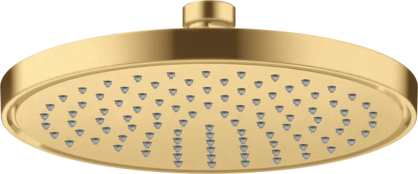 Axor Showersolutions Overhead Shower 220 1jet Ecosmart Gold Brushed