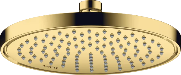 Axor Showersolutions Overhead Shower 220 1jet Gold Polished
