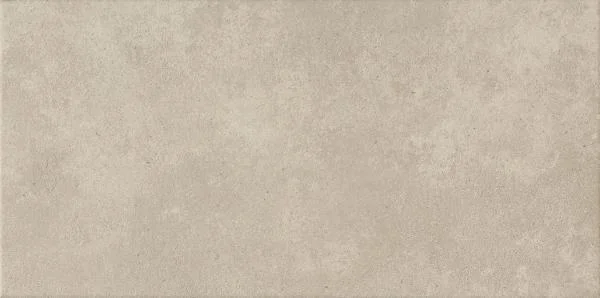 European Tiles Disc Beige 30X60 Matt Porcelain Tile - SALE