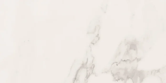 European Tiles Delux White 30X60Cm Matt Porcelain Rectified Tile detail view - Image 9