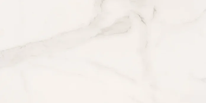 European Tiles Delux White 30X60Cm Matt Porcelain Rectified Tile detail view - Image 4