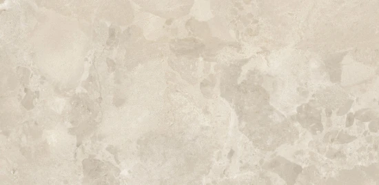 European Tiles Bloomstone Drift Warm Matt Tile 60x120cm