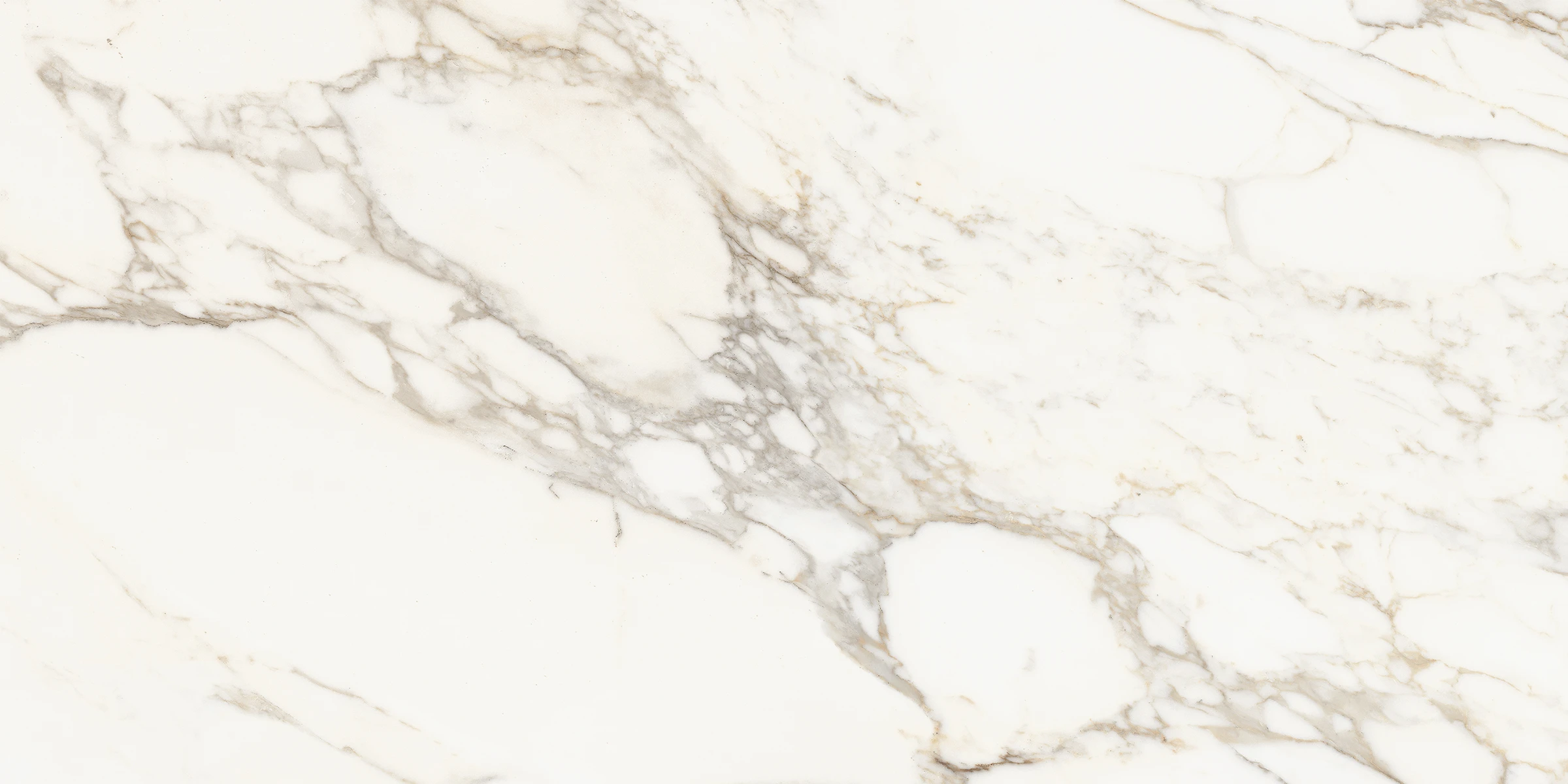 European Tiles Marmo CALACATTA GOLD 120 X 60 Rectified Matte Tile