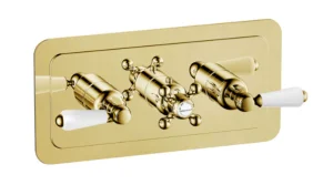 Grosvenor Lever Thermostatic 2 Outlet Shower Valve Brushed Brass (Horiztonal)