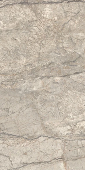 European Tiles Anima Futura Amazing Silver Polished Tile 60x120cm