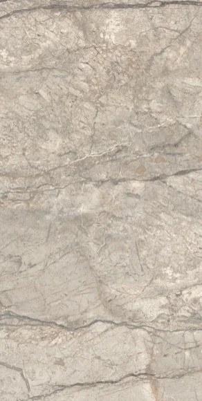 European Tiles Anima Futura Amazing Silver Polished Tile 60x120cm