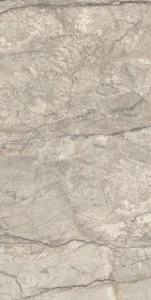 European Tiles Anima Futura Amazing Silver Polished Tile 60x120cm