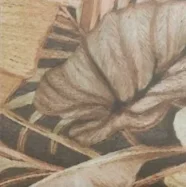 European Tiles Floral Porcelain Wall & Floor Matt Tile Aster 15x15cm detail view - Image 5