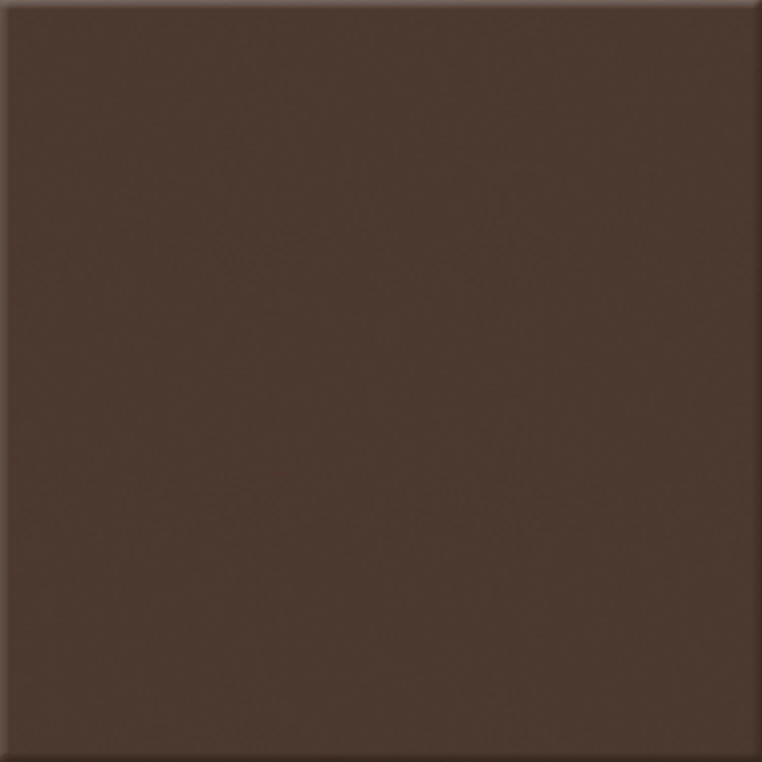 European Tiles Terra Chocolate Porcelain Matt Wall & Floor Tile 20x20cm