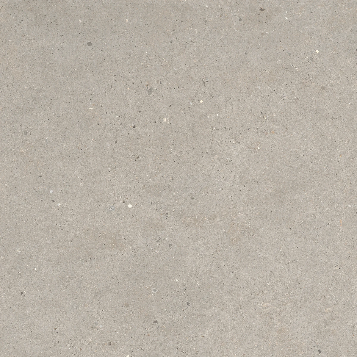 European Tiles Stone Grain TAUPE 60 X 60 Rectified Matte Tile