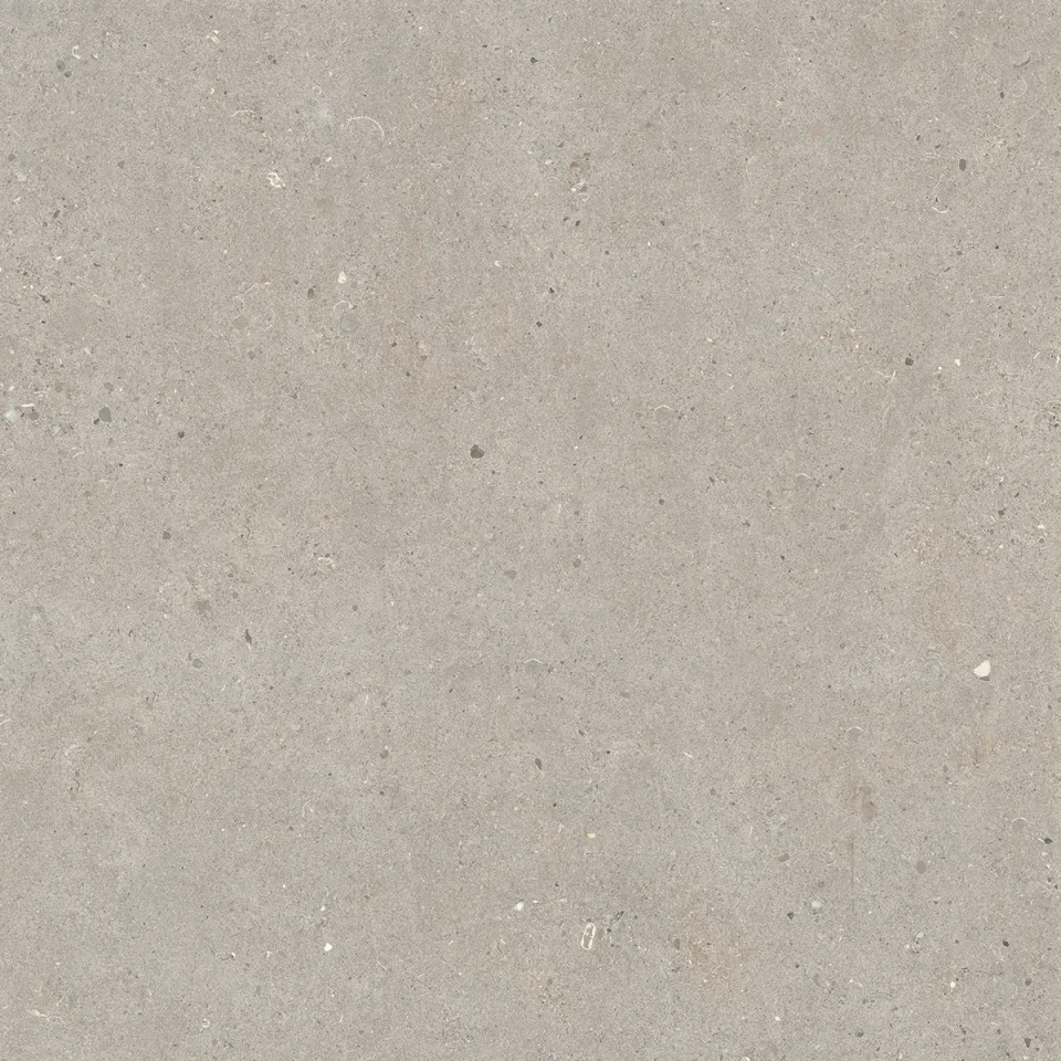 European Tiles Stone Grain TAUPE 60 X 60 Rectified Matte Tile detail view - Image 2