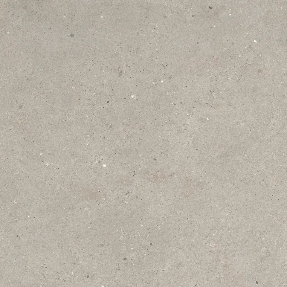 European Tiles Stone Grain TAUPE 60 X 60 Rectified Matte Tile detail view - Image 3