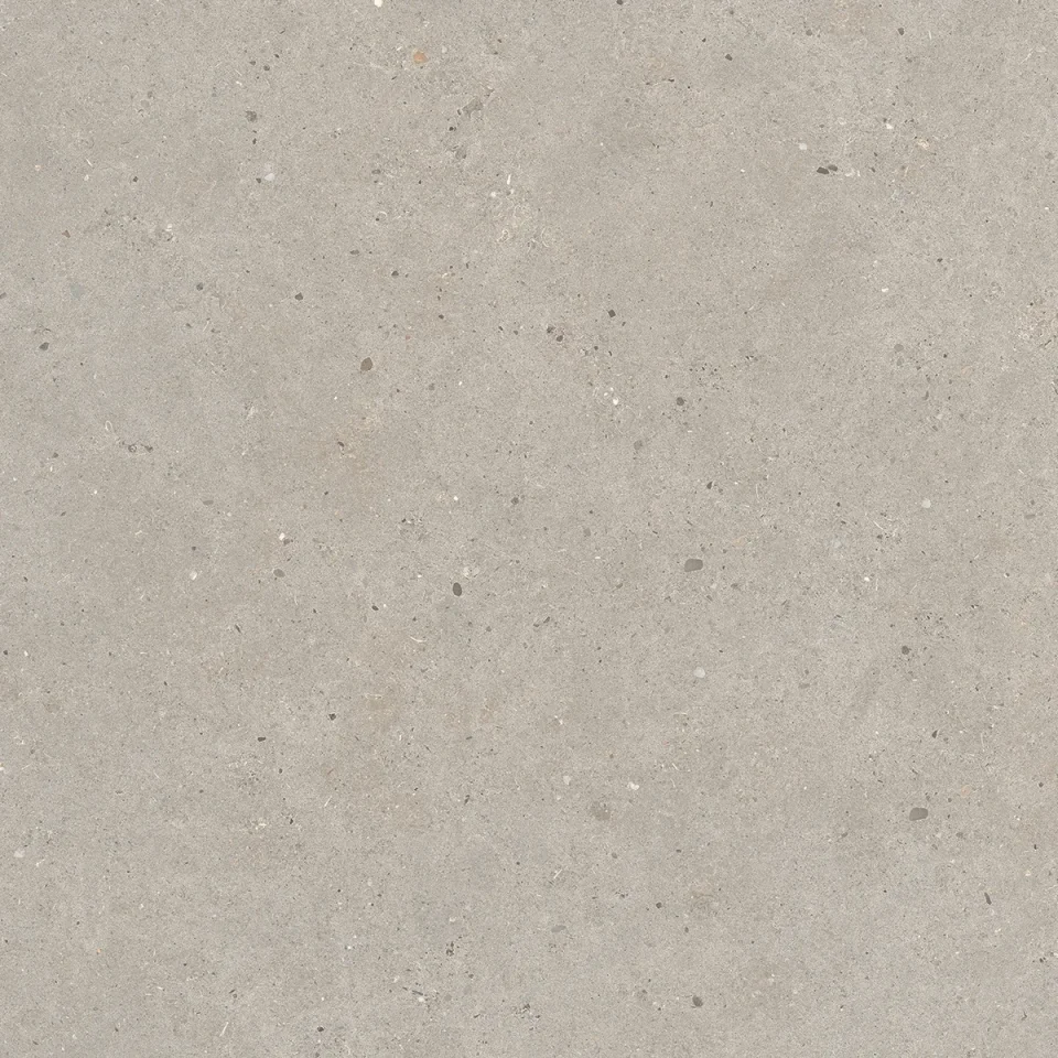 European Tiles Stone Grain TAUPE 60 X 60 Rectified Matte Tile detail view - Image 4