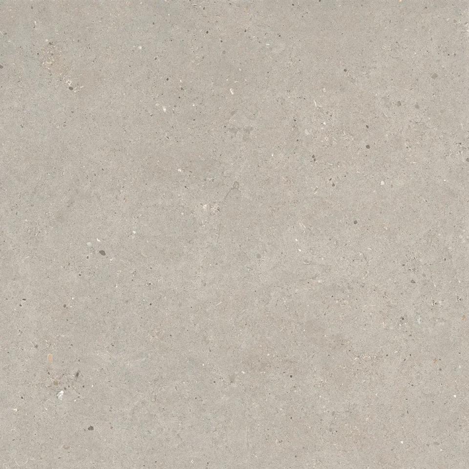 European Tiles Stone Grain TAUPE 60 X 60 Rectified Matte Tile detail view - Image 5