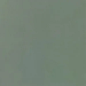 European Tiles Nurture Sage Matt Wall & Floor Tile 80x80cm