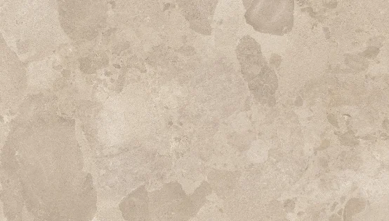 European Tiles Bloomstone Shell Earthy Beige Matt Antislip Tile 60x120cm