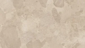 European Tiles Bloomstone Shell Earthy Beige Matt Antislip Tile 60x120cm