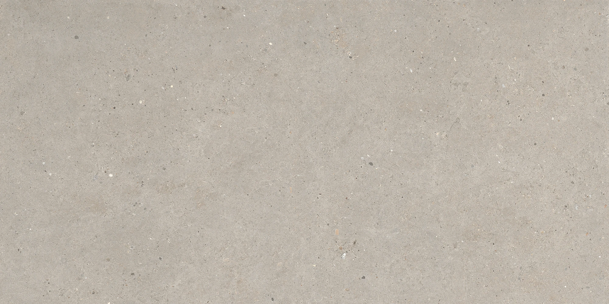 European Tiles Stone Grain TAUPE ANTISLIP 120 X 60 Rectified Matte Tile