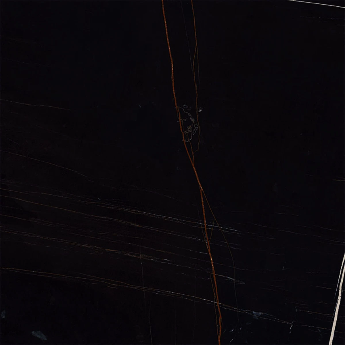 European Tiles Marmo SAHARA NOIR 60 X 60 Rectified Matte Tile