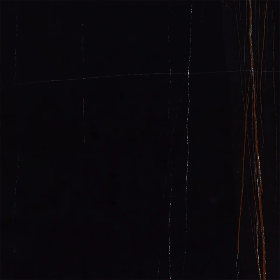 European Tiles Marmo SAHARA NOIR 60 X 60 Rectified Matte Tile detail view - Image 2