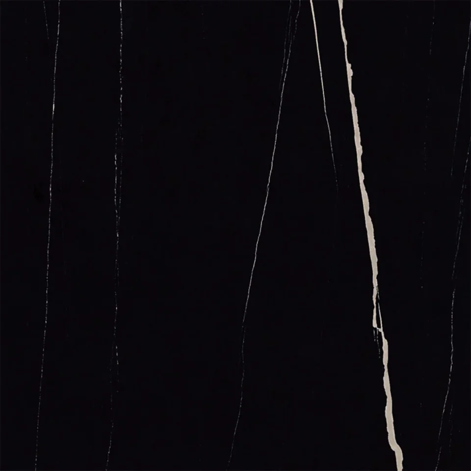European Tiles Marmo SAHARA NOIR 60 X 60 Rectified Matte Tile detail view - Image 8