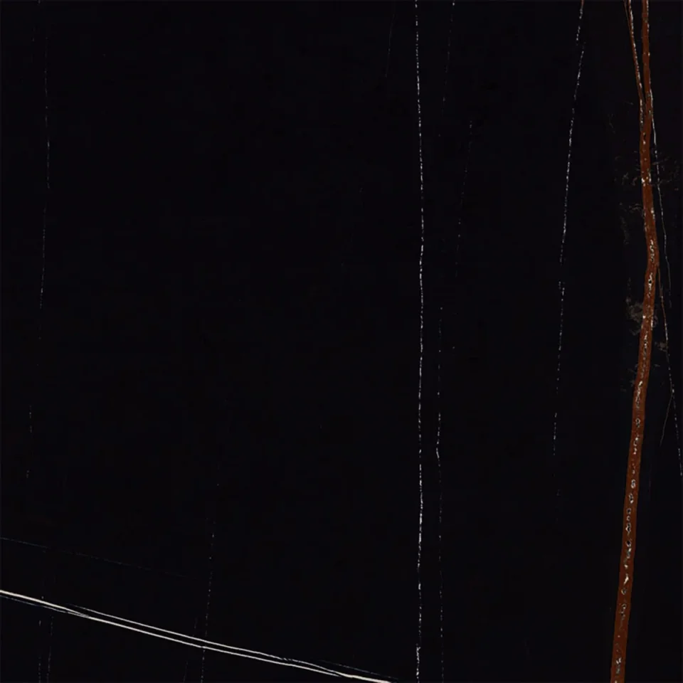 European Tiles Marmo SAHARA NOIR 60 X 60 Rectified Matte Tile detail view - Image 9