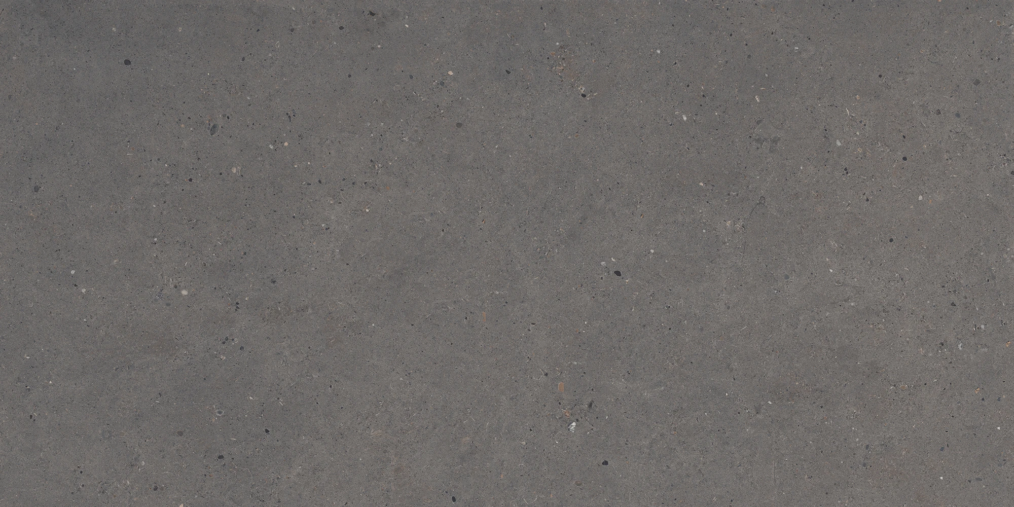 European Tiles Stone Grain DARK 120 X 60 Rectified Matte Tile