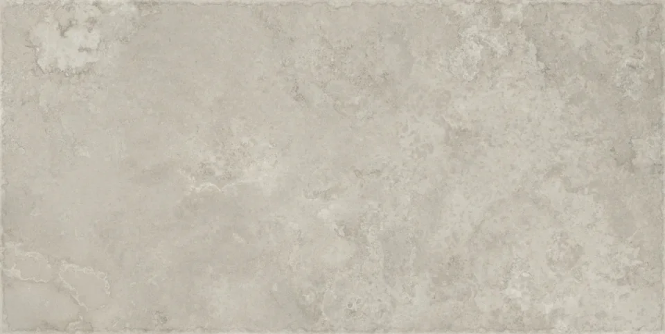 European Tiles Histoire Reims Silver Grey Matt Tile 60x30cm product image - Image 1