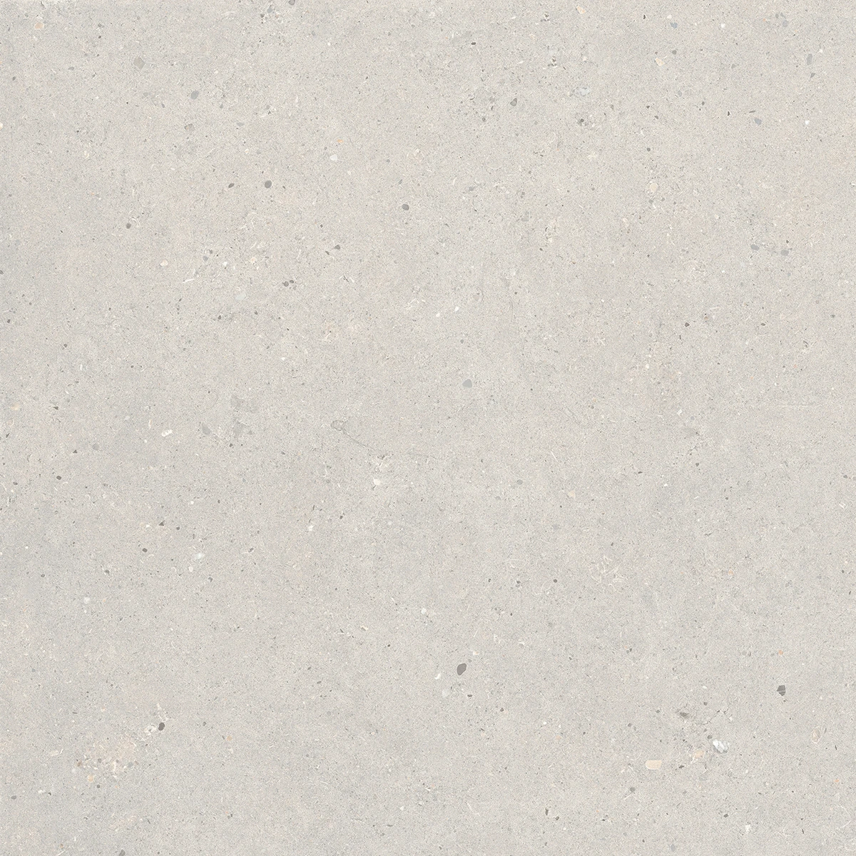 European Tiles Stone Grain GREY 60 X 60 Rectified Matte Tile