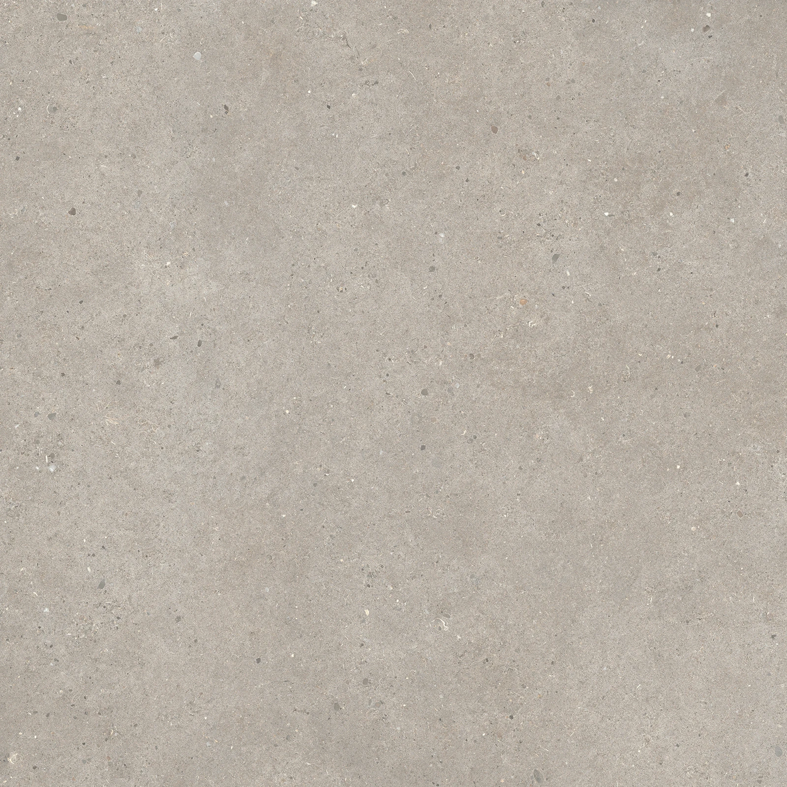 European Tiles Stone Grain TAUPE 80 X 80 Rectified Matte Tile